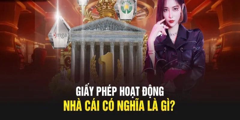 Các cơ quan cấp giấy phép hoạt động max88 và quy trình cấp phép