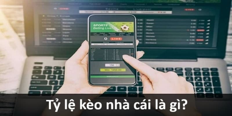 Tổng Quan Về Tỷ Lệ Kèo Nhà Cái Max88